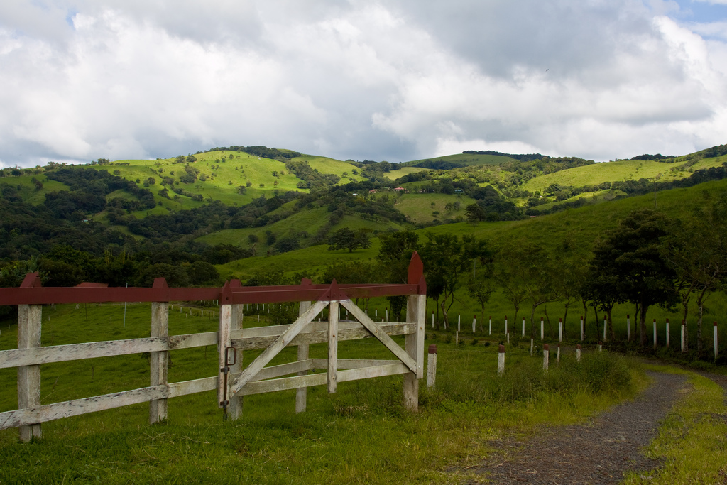 The Road to Monteverde